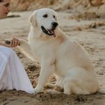 Frank Duck - @frank_duck_ - Instagram
