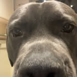 Frank_ Dugger - @frank_dugger2011 - Instagram