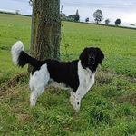 Frank Düpre Hunting - @frankduepre - Instagram