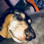 Frank_duprey - @frankie_rosabell_duprey - Instagram