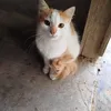 Fran Durango. - @fran.durango - TikTok