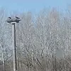 Frank Durham - @frank.durham68 - TikTok