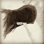 Frank Eagle - @frank.eagle - Instagram