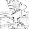 user618491296071 - @frank.eagle - TikTok