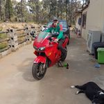 Frank Egan - @frank.egan.581 - Instagram