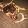 Frank Egan - @frank.egan8 - TikTok