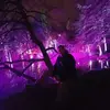 Frank Eifert - @frank.eifert8 - TikTok
