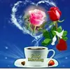 Kartikey_Pandey - @frank_fallss - TikTok