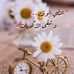 Frank Fast - Facebook