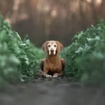 Frank Feldmann - @frank_feldmann_fotografie - Instagram