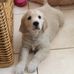 Frank Fenwick - Facebook