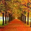 Frank Perrone - @frank.perrone - TikTok