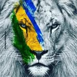 Frank Figueiredo Correia - @correiafrankfigueiredo - Instagram