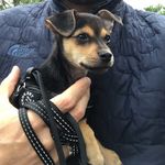 Frank - @frank_firth - Instagram