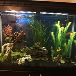 Frank Fish Man - @frank_fishman - Instagram