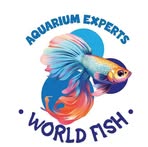 FrankWorld Acuario Fish - Facebook
