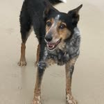 Frank Fitzpatrick - @frankfitzpatrick838 - Instagram