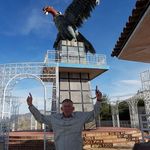 Frank Fleetham - @frankfleetham - Instagram