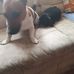 Frank Fleischhacker - Facebook