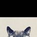 Frank's Cat Empire - Facebook