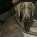 Frank Fleury - Facebook
