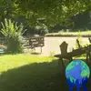 Frank Flick - @frank.flick - TikTok