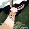 Frank Fontaces - @frank.fontaces - TikTok