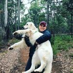 Frank Bailey - @frank_forester - Instagram
