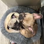 frank + fred - @_frankandfred_89 - Instagram