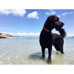 @frank_fred_ - Instagram