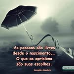 frank freitas - @franck_imoveis - Instagram