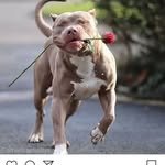 Frank Freitas - @frank.freitas0 - Instagram