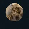frank Bright - @www.frankbright.com - TikTok