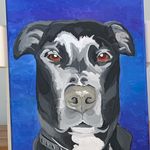 Frank Funk - @franknfunk - Instagram