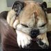 Frank Funke - Facebook