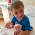 Frank the Tank - @frank_funk_ - Instagram