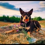 Frank Funke - @crazybaffy - Instagram