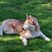 Frank Furman - Facebook