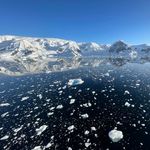 Frank Gardner - @frank.gardner - Instagram