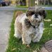 Frank Gabor - Facebook