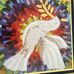 Fran Kolinsky - Facebook