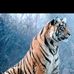 Frank Gawlinski - Facebook