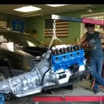 Frank Galluzzo - @frank_n_stang - Instagram