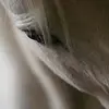 Frank - @frankgamon - TikTok