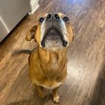 Cali Frank Gentry - @caliibabaa - Instagram