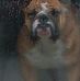 Frank Gentry - Facebook