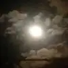 Frank German - @frank.german2 - TikTok