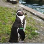 Frank Gottschalk - @frank.gottschalk.3 - Instagram