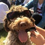 Frank Grabs - @franklyfrankness - Instagram