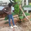 frank grado - @frank.grado - TikTok